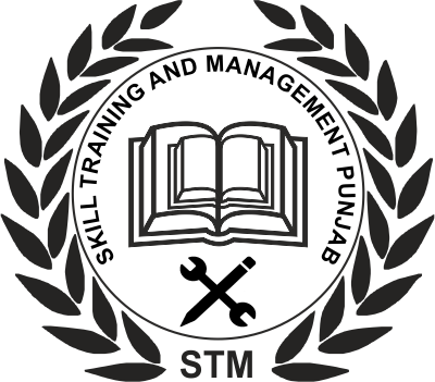 STM Punjab